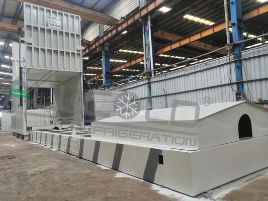 Customized processing capacity 1~10 pallets post-harvested button mushroom/lettuce vegetables vacuum cooling machine