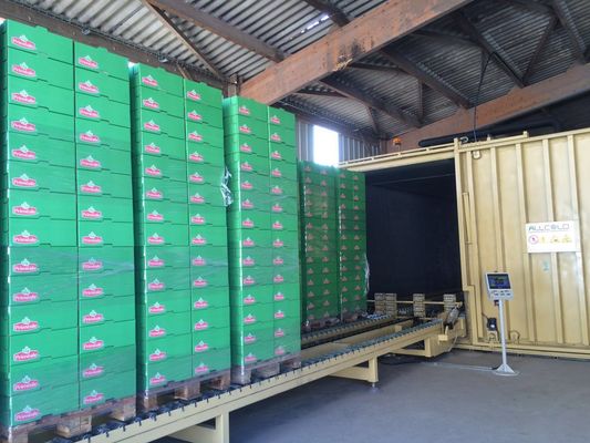 Customized processing capacity 1~10 pallets post-harvested button mushroom/lettuce vegetables vacuum cooling machine