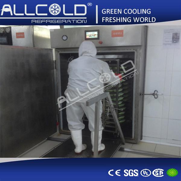 Cooked Foods Vacuum Chiller 0