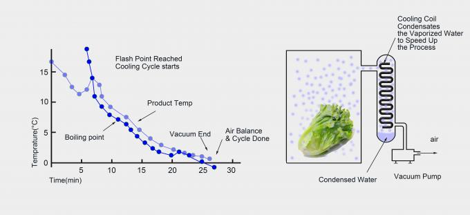 Customized Vacuum Cooling Machine, Leaf Vegetables/Flowers/Mushroom Vacuum Cooler 1