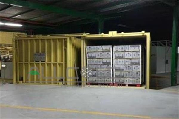 Automatic Vacuum Cooling Machine For Leafy Vegetable / Edible Fungi / Oyster / Mushroom 0
